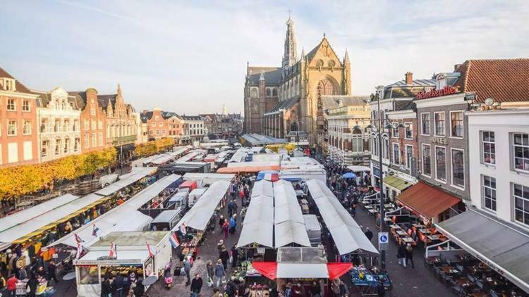 Feels Like Home Haarlem Dış mekan fotoğraf