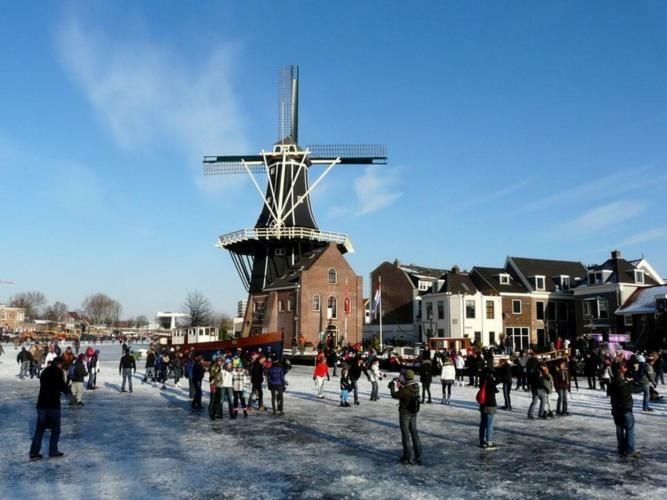 Feels Like Home Haarlem Dış mekan fotoğraf