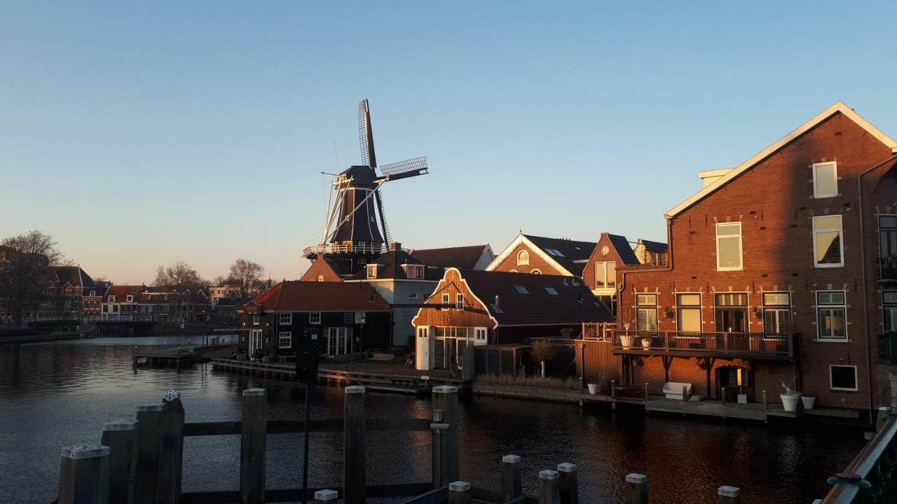 Feels Like Home Haarlem Dış mekan fotoğraf