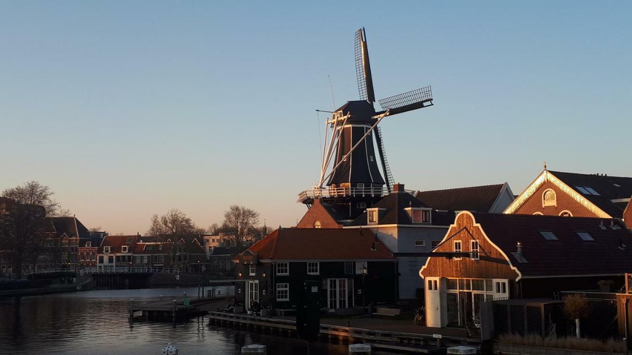 Feels Like Home Haarlem Dış mekan fotoğraf